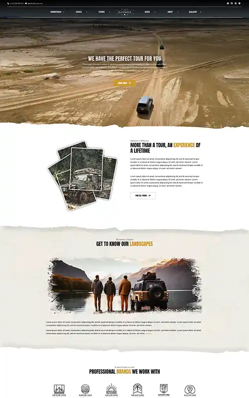 天天盈球