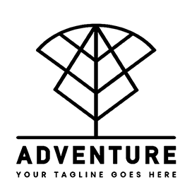 天天盈球